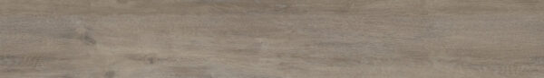Country Elm