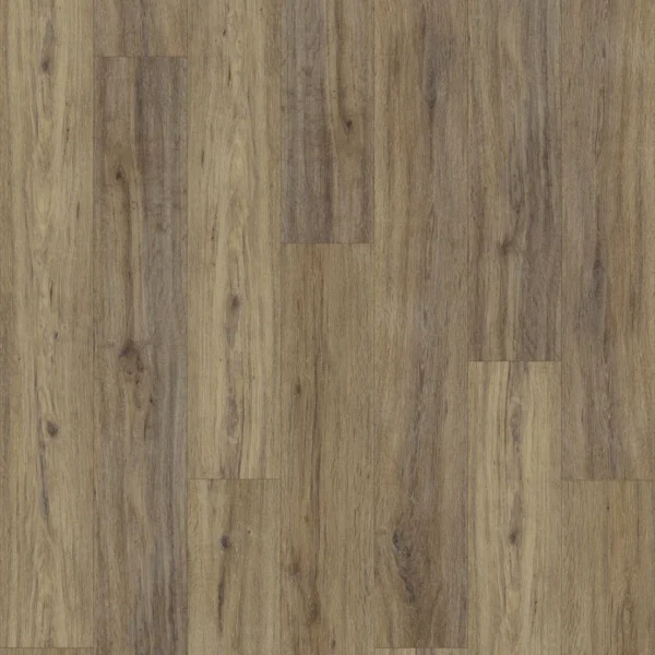 Autumn Barnwood