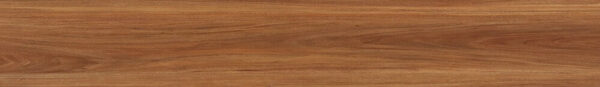 Jarrah
