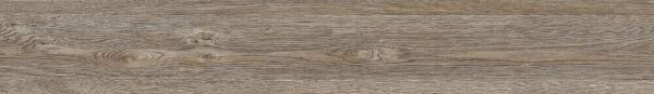 Silver Gum