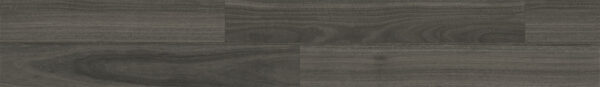 Ancient Hardwood