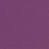 Riverina Plum