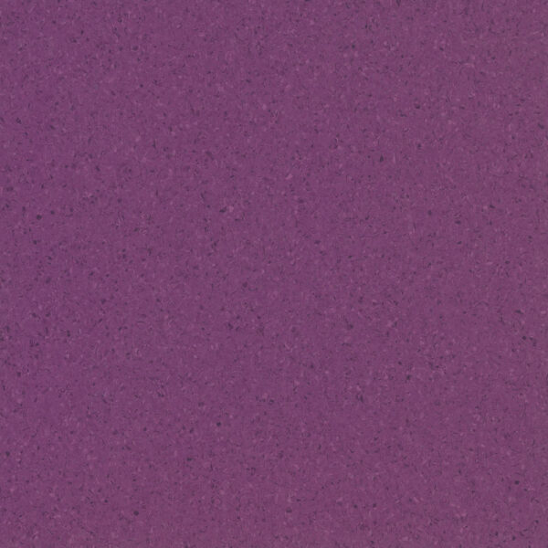 Riverina Plum