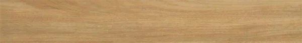 Spotted Gum