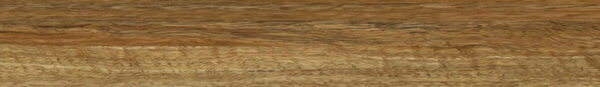 QLD Spotted Gum