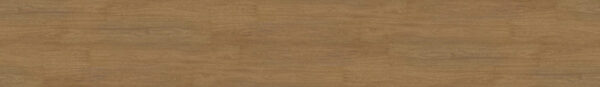 Spotted Gum