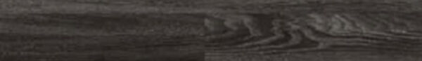 Black Elm