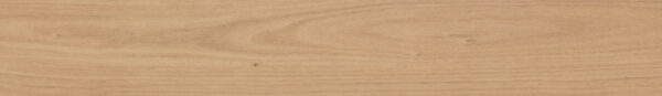 Eastern Blackbutt