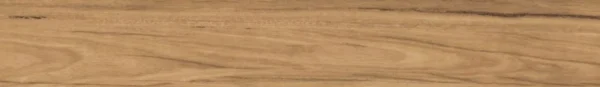 Lemon Spotted Gum