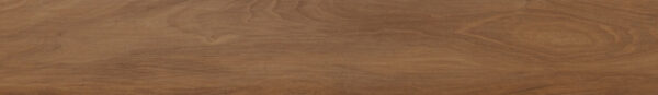 Marron Elm
