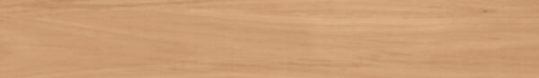North Coast Blackbutt