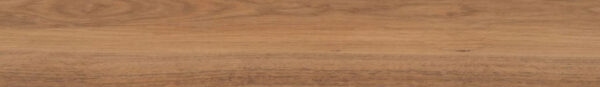 Northern Spotted Gum