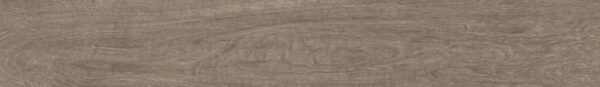 Twilight Oak